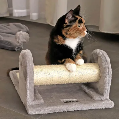 lionto arbre à chat avec poteau à griffer, planche et balle en peluche