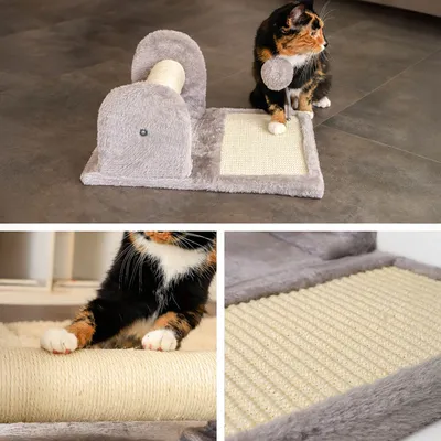 lionto arbre à chat avec poteau à griffer, planche et balle en peluche