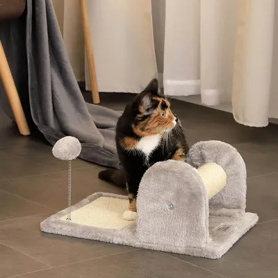 lionto arbre à chat avec poteau à griffer, planche et balle en peluche