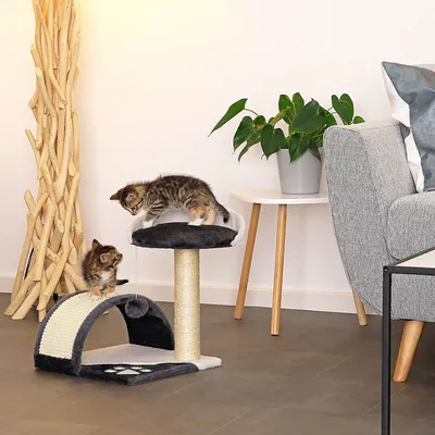 lionto arbre à chat compact avec arc à griffer et balle en peluche