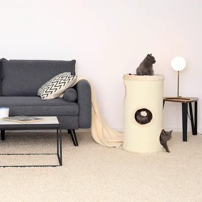 lionto arbre à griffer en sisal avec balle de jeu et rebord en peluche