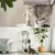 lionto arbre à chat avec niches, plateformes, jouets et sisal robuste