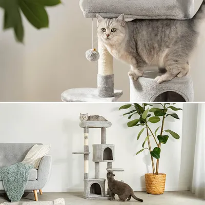 lionto arbre à chat avec niches, plateformes, jouets et sisal robuste