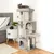 lionto arbre à chat avec niches, plateformes, jouets et sisal robuste