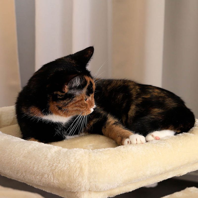 lionto arbre à chat avec niche, lit moelleux et balle en peluche