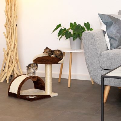 lionto arbre à chat compact avec arc à griffer et balle en peluche