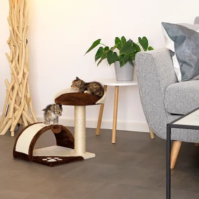 lionto kompakter Kratzbaum 43 cm mit Kratzbogen und Plüschball lionto kompakter Kratzbaum 43 cm mit Kratzbogen und Plüschball