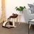 lionto arbre à chat compact avec arc à griffer et balle en peluche
