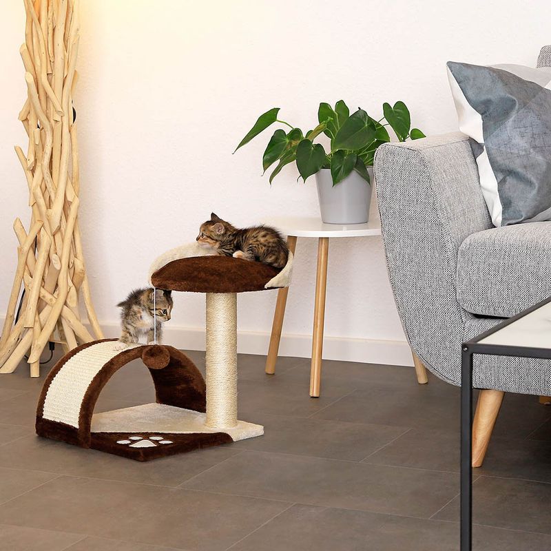 lionto arbre à chat compact avec arc à griffer et balle en peluche