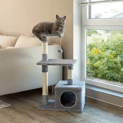 lionto arbre à chat avec niche, plateformes et balle en peluche