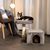lionto arbre à chat avec niche, lit moelleux et balle en peluche