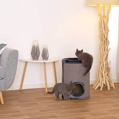 lionto arbre à griffer en sisal avec balle de jeu et rebord en peluche