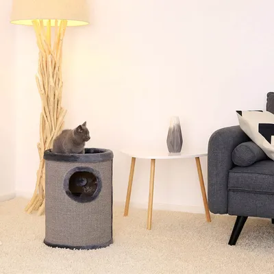 lionto arbre à griffer en sisal avec balle de jeu et rebord en peluche