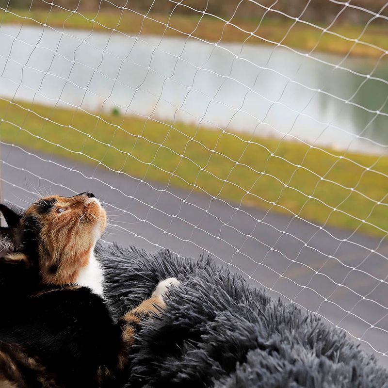 lionto filet de protection chat en nylon transparent, solide et adaptable