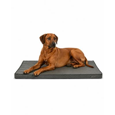 lionto orthopädisches Hundebett mit Memory-Schaum und abnehmbarem Bezug
