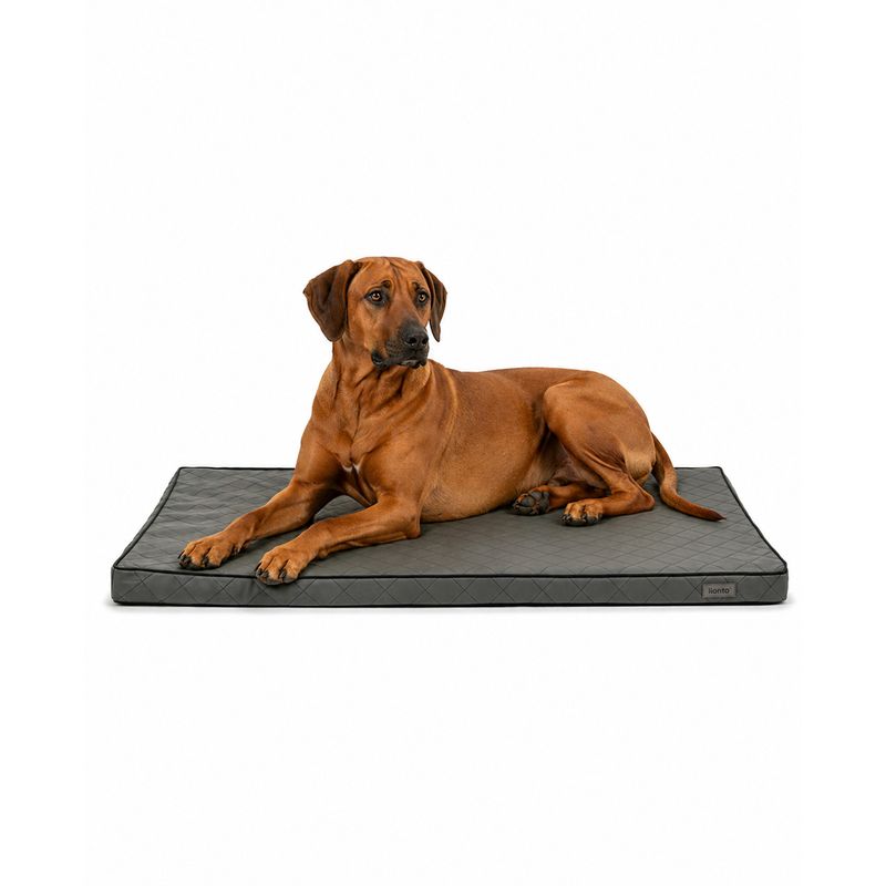 lionto orthopädisches Hundebett mit Memory-Schaum und abnehmbarem Bezug