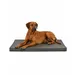 lionto orthopädisches Hundebett mit Memory-Schaum und abnehmbarem Bezug