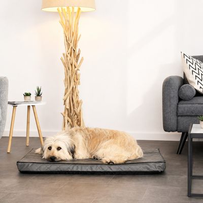 lionto orthopädisches Hundebett mit Memory-Schaum und abnehmbarem Bezug