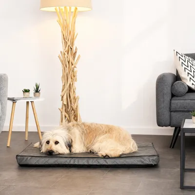 lionto orthopädisches Hundebett mit Memory-Schaum und abnehmbarem Bezug