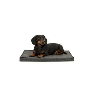 lionto matelas orthopédique pour chien avec housse amovible lionto matelas orthopédique pour chien avec housse amovible