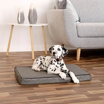 lionto matelas orthopédique pour chien avec housse amovible