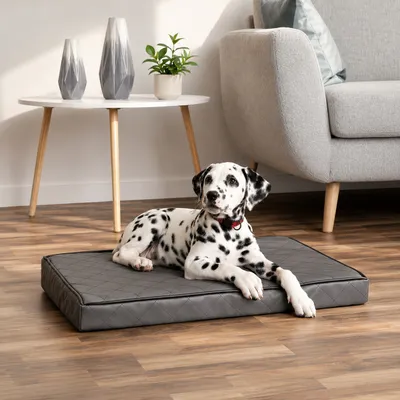 lionto matelas orthopédique pour chien avec housse amovible lionto matelas orthopédique pour chien avec housse amovible