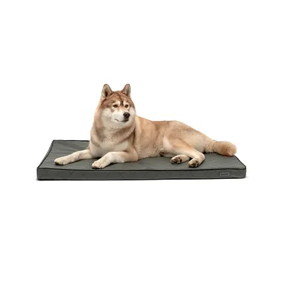 lionto orthopädisches Hundebett mit Memory-Schaum und abnehmbarem Bezug