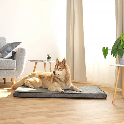 lionto matelas orthopédique pour chien avec housse amovible
