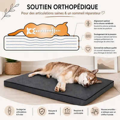 lionto orthopädisches Hundebett mit Memory-Schaum und abnehmbarem Bezug lionto orthopädisches Hundebett mit Memory-Schaum und abnehmbarem Bezug