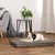 lionto matelas orthopédique pour chien avec housse amovible lionto matelas orthopédique pour chien avec housse amovible