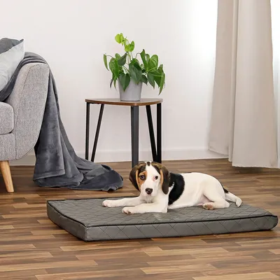 lionto matelas orthopédique pour chien avec housse amovible lionto matelas orthopédique pour chien avec housse amovible