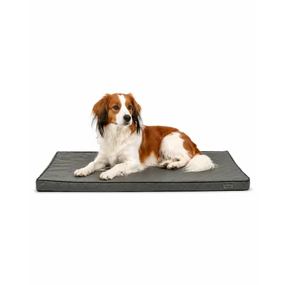 lionto orthopädisches Hundebett mit Memory-Schaum und abnehmbarem Bezug lionto orthopädisches Hundebett mit Memory-Schaum und abnehmbarem Bezug