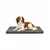 lionto orthopädisches Hundebett mit Memory-Schaum und abnehmbarem Bezug