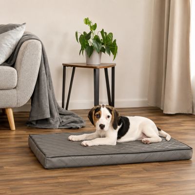 lionto orthopädisches Hundebett mit Memory-Schaum und abnehmbarem Bezug