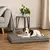 lionto orthopädisches Hundebett mit Memory-Schaum und abnehmbarem Bezug lionto orthopädisches Hundebett mit Memory-Schaum und abnehmbarem Bezug