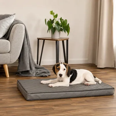 lionto orthopädisches Hundebett mit Memory-Schaum und abnehmbarem Bezug lionto orthopädisches Hundebett mit Memory-Schaum und abnehmbarem Bezug
