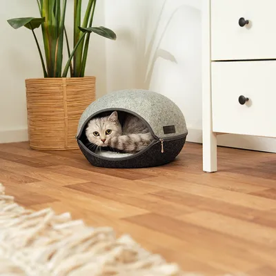 lionto niche pour chat en feutre avec coussin doux et entrée ovale