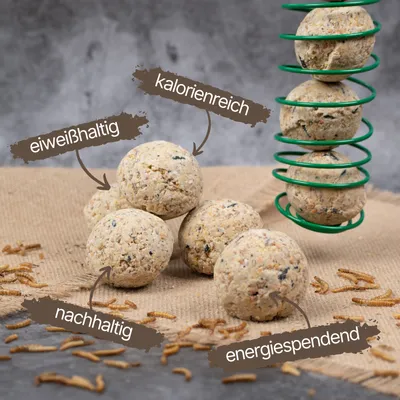 Lyra Pet® Boulettes de graisse pour mésanges de l'Alb-Mühle Protéines