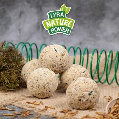 Lyra Pet® Boulettes de graisse pour mésanges de l'Alb-Mühle Protéines