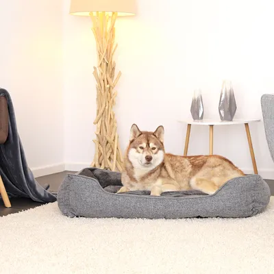 lionto coussin pour chien avec housse lavable et entrée confortable lionto coussin pour chien avec housse lavable et entrée confortable
