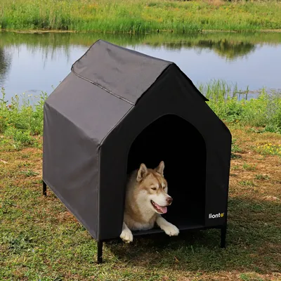 lionto lit pour chien extérieur surélevé avec toit, tissu Oxford résistant lionto lit pour chien extérieur surélevé avec toit, tissu Oxford résistant