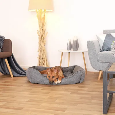 lionto coussin pour chien avec housse lavable et entrée confortable