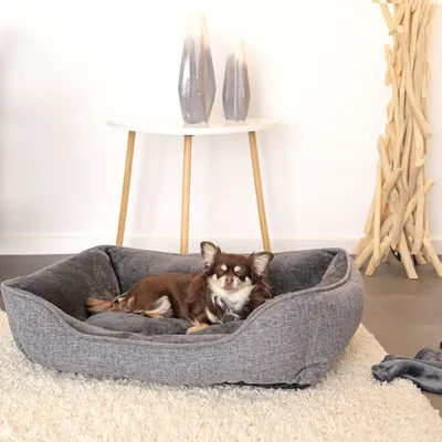 lionto coussin pour chien avec housse lavable et entrée confortable lionto coussin pour chien avec housse lavable et entrée confortable