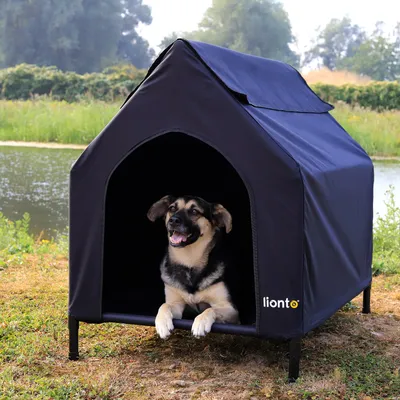 lionto lit pour chien extérieur surélevé avec toit, tissu Oxford résistant lionto lit pour chien extérieur surélevé avec toit, tissu Oxford résistant