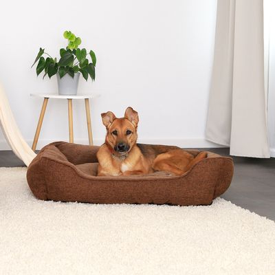 lionto Hundebett mit waschbarem Bezug und niedrigem Einstieg