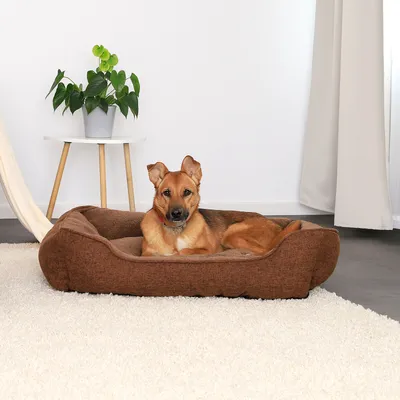 lionto Hundebett mit waschbarem Bezug und niedrigem Einstieg
