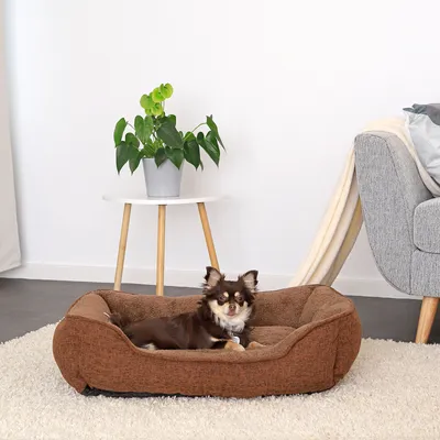 lionto coussin pour chien avec housse lavable et entrée confortable