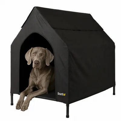 lionto lit pour chien extérieur surélevé avec toit, tissu Oxford résistant lionto lit pour chien extérieur surélevé avec toit, tissu Oxford résistant