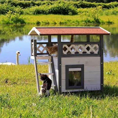 lionto maison pour chat en bois avec toit étanche et zones de repos