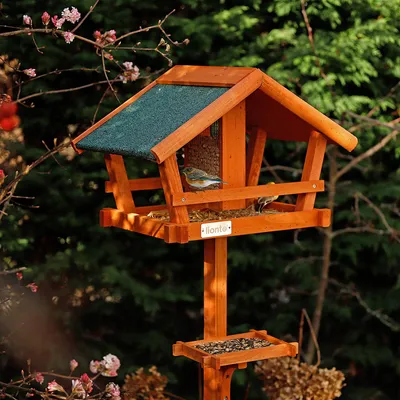 lionto Vogelhaus mit Futtersilo